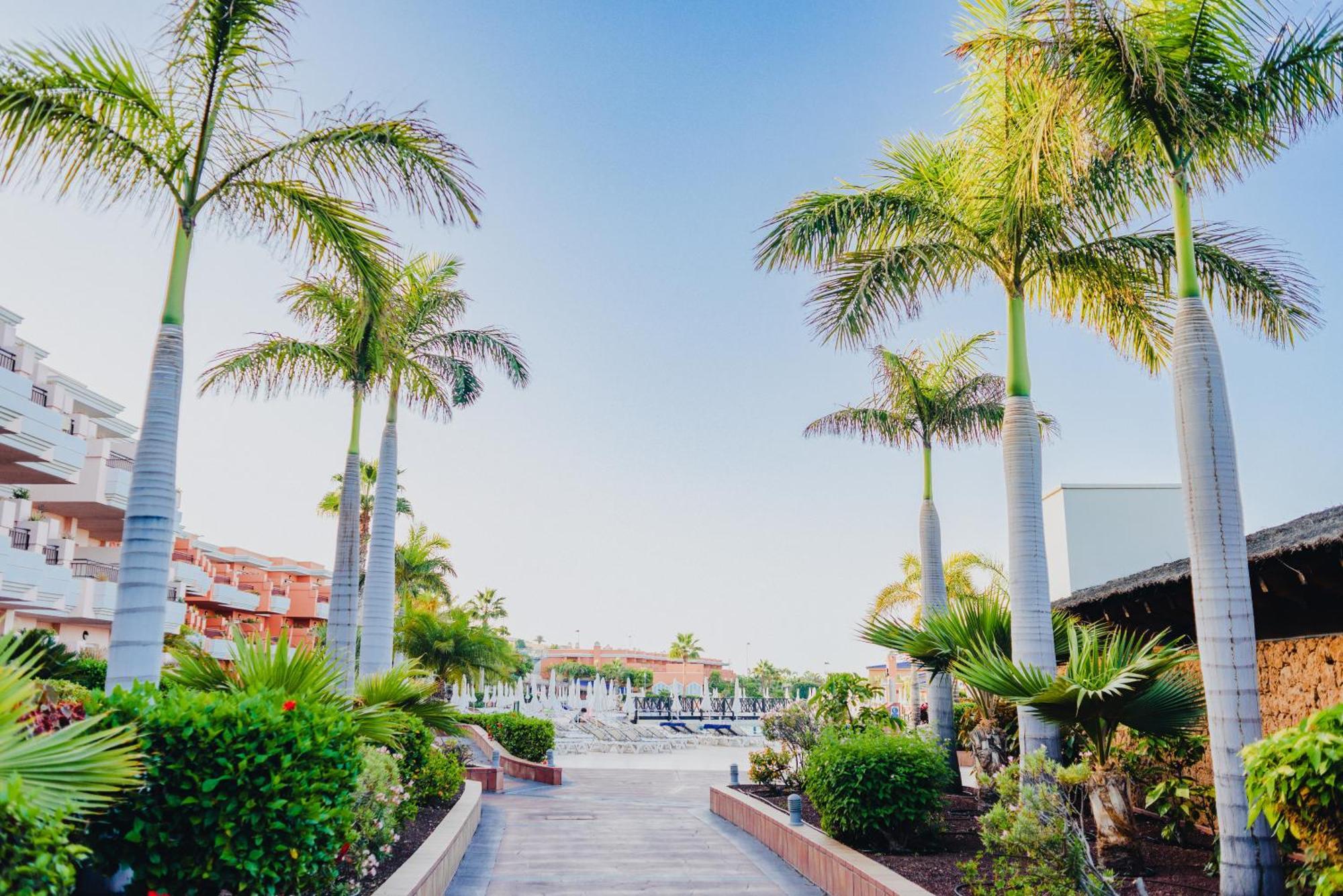 Landmar Costa Los Gigantes Family Resort Puerto de Santiago  Esterno foto